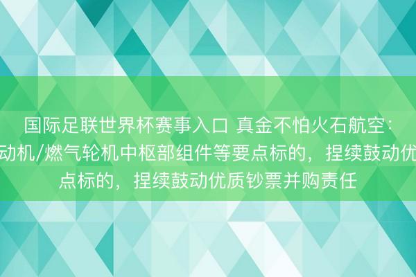国际足联世界杯赛事入口 真金不怕火石航空：公司围绕航空发动机/燃气轮机中枢部组件等要点标的，捏续鼓动优质钞票并购责任