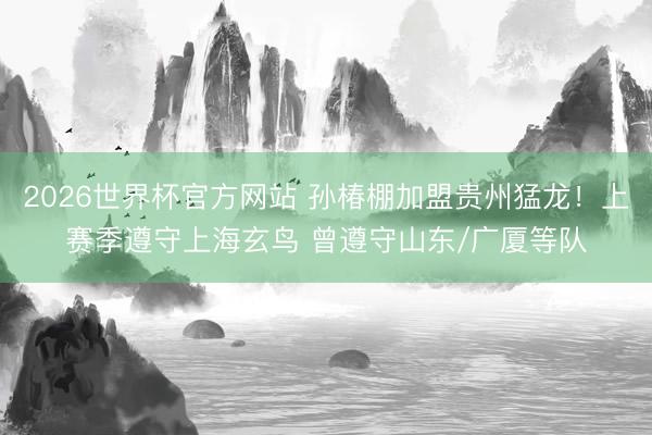 2026世界杯官方网站 孙椿棚加盟贵州猛龙！上赛季遵守上海玄鸟 曾遵守山东/广厦等队