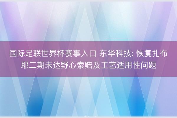 国际足联世界杯赛事入口 东华科技: 恢复扎布耶二期未达野心索赔及工艺适用性问题