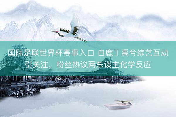 国际足联世界杯赛事入口 白鹿丁禹兮综艺互动引关注，粉丝热议两东谈主化学反应